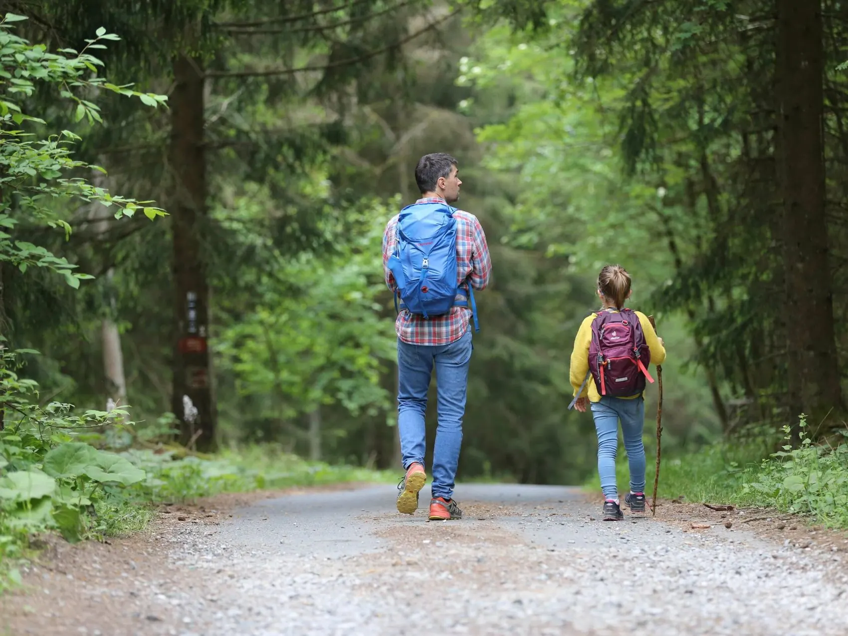 Family walking through a Pacific Northwest forest trail, representing the families we help through custody, divorce, and estate investigations